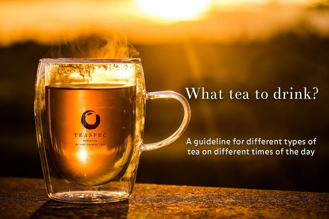 What Tea To Drink? - TEASPEC