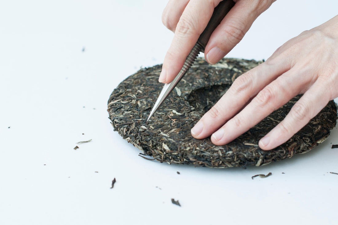 Pu'er Tea Benefits For Controlling Diabetes - TEASPEC
