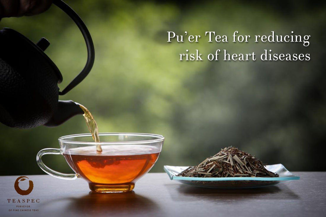 Pu'er Tea For Reducing Risk Heart Diseases - TEASPEC