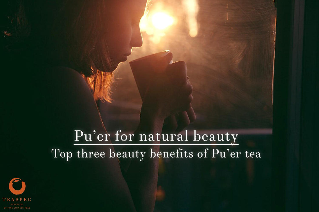 Top Three Beauty Benefits Of Pu'er Tea - TEASPEC