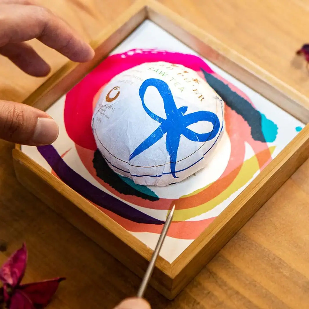 Compressed Teas Collection – TEASPEC